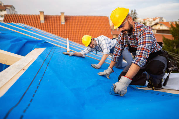 Fast & Reliable Emergency Roof Repairs in Holgate, OH